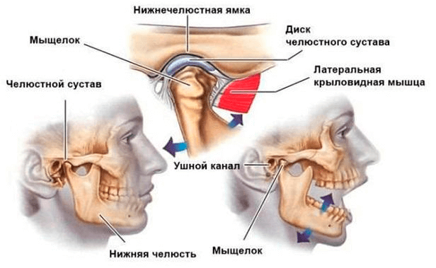 ВНЧС